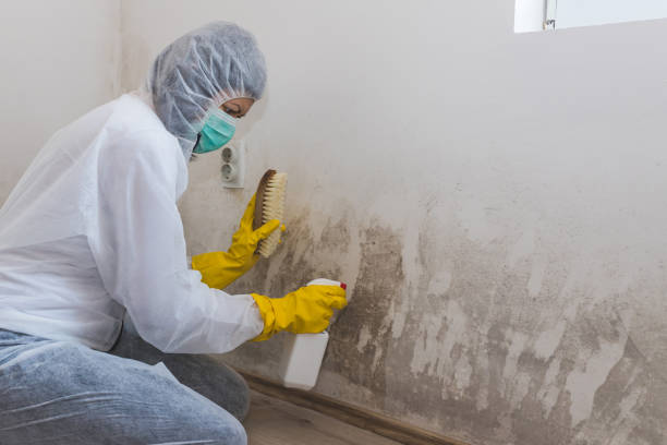 Best Mold Removal Process  in Fort Knox, KY