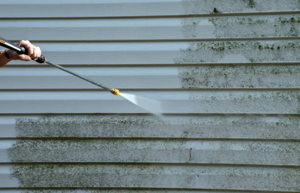 Mold Removal Process in Fort Knox, KY