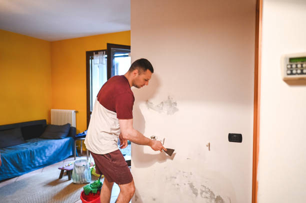 Best Attic Mold Removal  in Fort Knox, KY